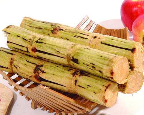 補(bǔ)血水果之王甘蔗可防病